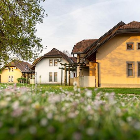 Terme Banovci - Hotelsko Naselje Zeleni Gaj Esterno foto