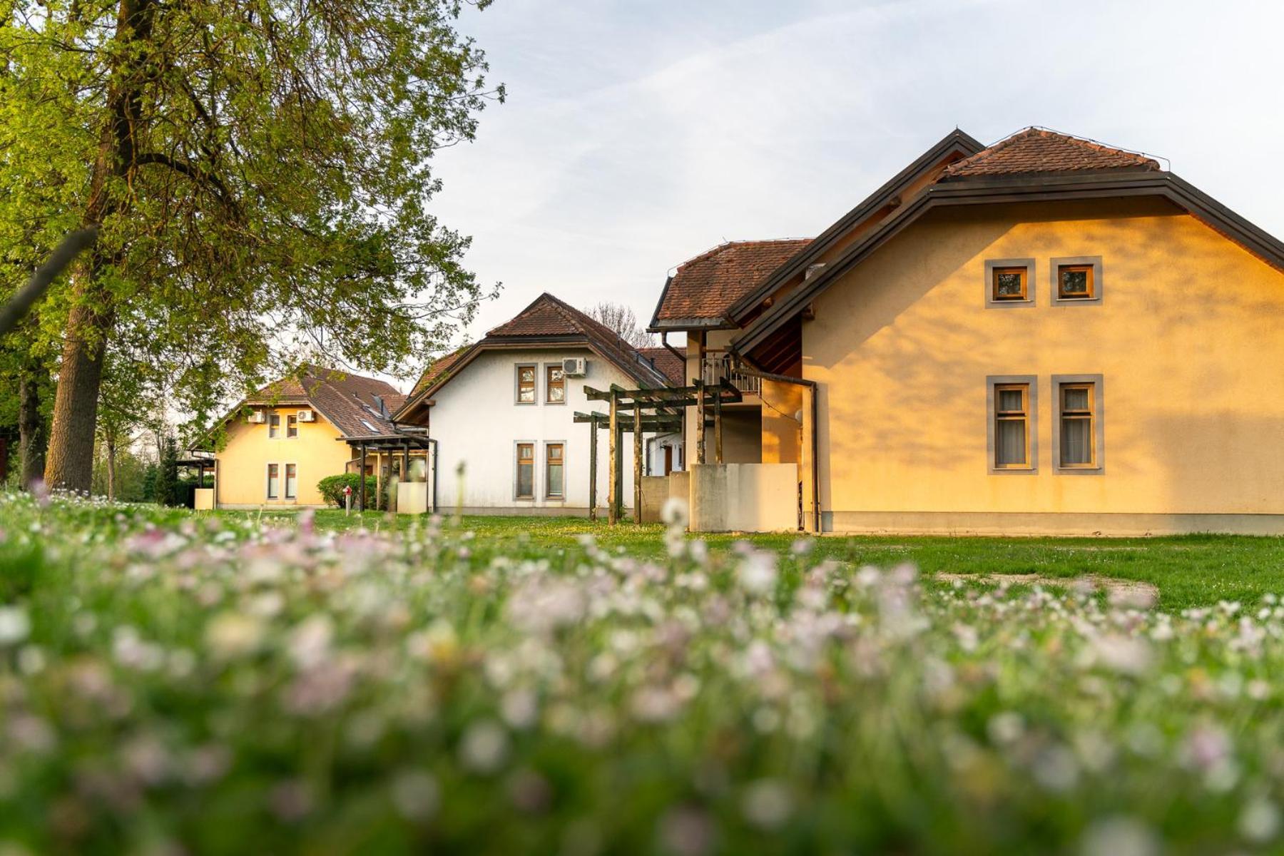 Terme Banovci - Hotelsko Naselje Zeleni Gaj Esterno foto